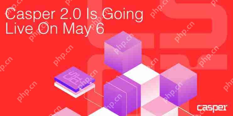 Casper（CSPR）是什么？专为开发者和企业打造的区块链网络